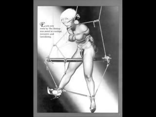 Bewitching Fetish Hardcore BDSM Artwork